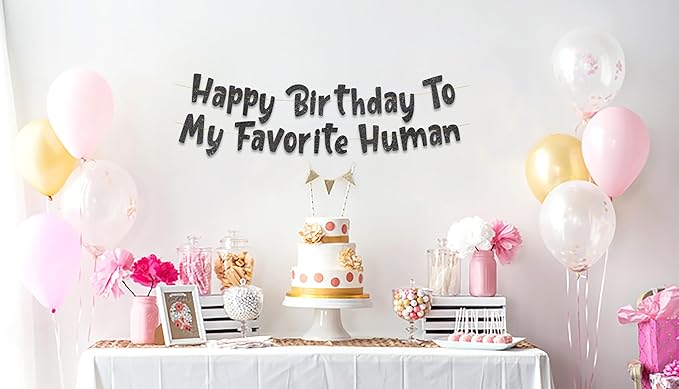 Pre-Strung Happy Birthday To My Favorite Human - Funny Birthday Black Glitter Banner - Funny Birthday Decorations for Men and Women - Party Supplies and Gifts