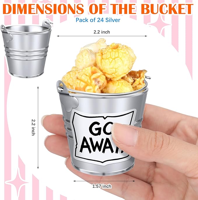 24 Set Street Theme Party Supplies Cartoon Party Mini Buckets with Go Away Stickers Funny Treat Pails Cookie Candy Holders Street Birthday Decors for Birthday Baby Shower Classroom Favors