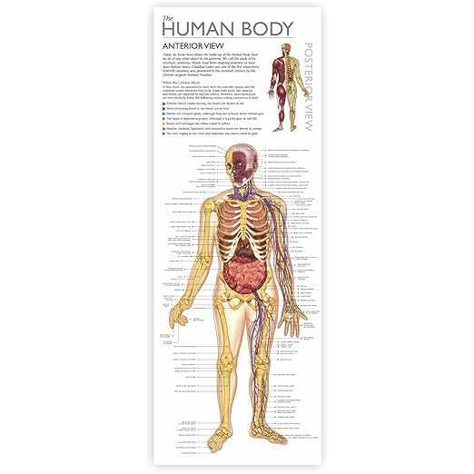 Wonders of Learning Wonders of Learning Tin Set, Discover The Human Body