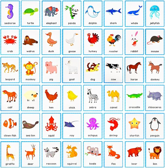 Learning Flashcards Animals, 48 Different Animals Educational Cards, Social Learning Card for Kids