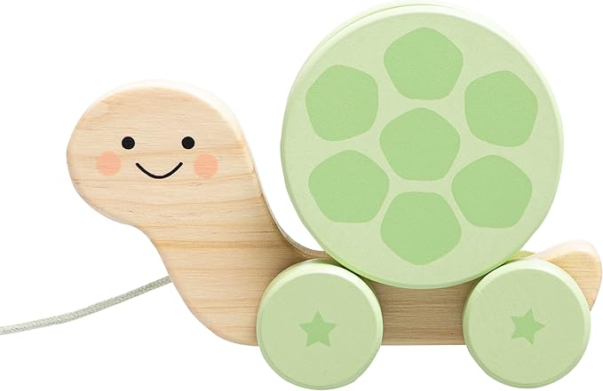 Pearhead Wooden Turtle Push and Pull Toy, Montessori Shake and Rattle Shell, Baby Walking and Gross Motor Development Learning, Pull Along Car Toy, Ages 12m+