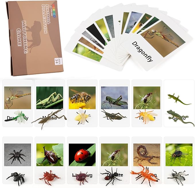MEROCO Montessori Animal Match - Insect Animal Figurines with Matching Cards Language Montessori Materials Preschool Learning Toy NEWT008