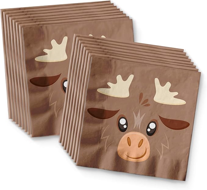 Moose Birthday Party Supplies Set Plates Napkins Cups Tableware Kit for 16