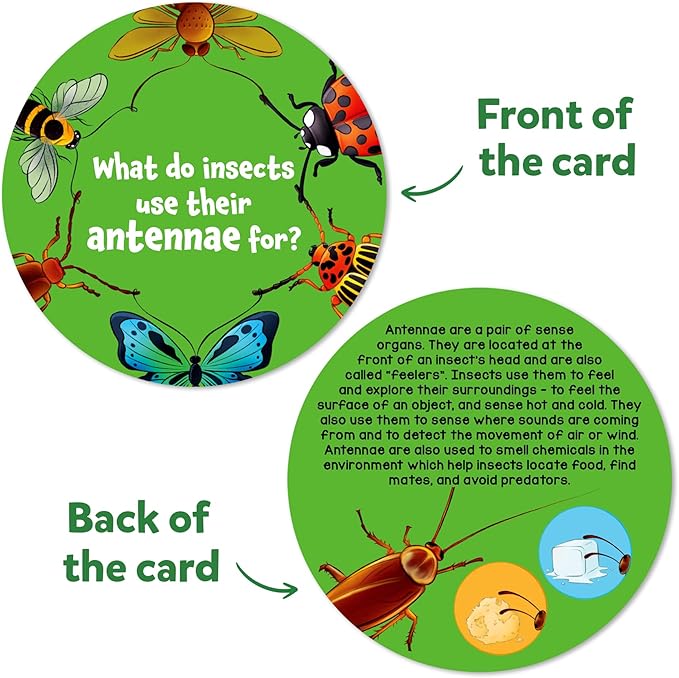 Skillmatics Flash Cards - Science Snippets Animals, STEM Learning Educational Toys & Learning Aids for Kids, Gifts for Boys & Girls Ages 7, 8, 9 & Up, Homeschool, Classroom & Travel Activity