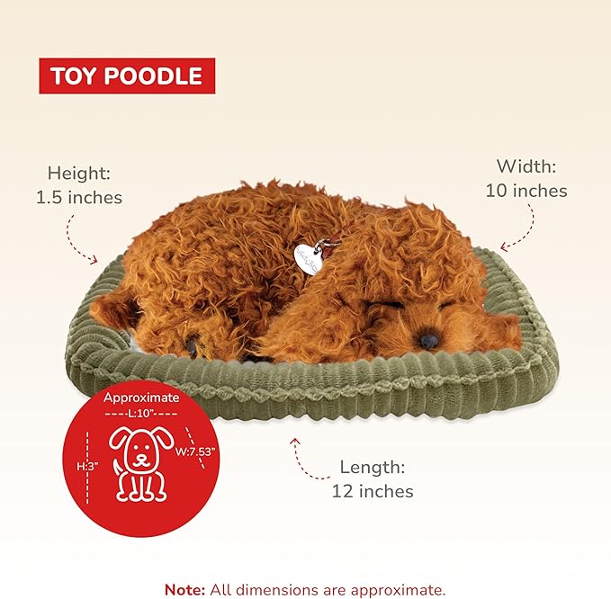 Poodle, Dog Toys for Kids and Elderly, Realistic Dog Stuffed Animals, Battery-Operated Stuffed Dog, Companion Interactive Pets with Synthetic Fur