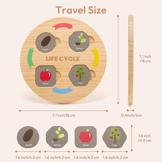 Woodtoe Life Cycle Toys for Kids, 12 Themes Montessori Preschool Science Center Materials, Wooden Learning & Educational Toys for Toddlers, Learning Game Christmas STEM Toys for Boy Girl Age 3-6