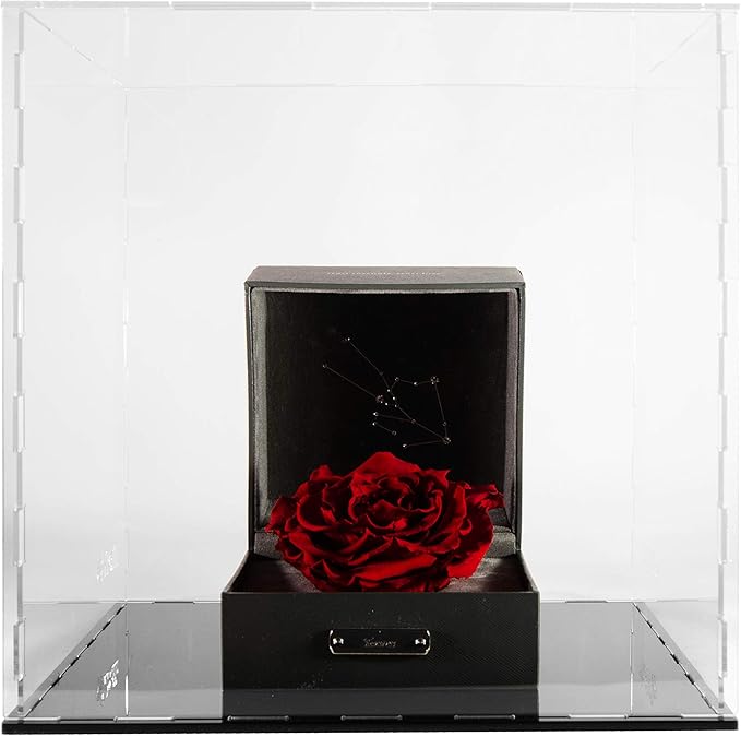 Clear Acrylic Display Case-Assemble Countertop Box for Display-Clear Display Box,Dustproof Protection Showcase for Toy Collectibles (12*12*12inch)