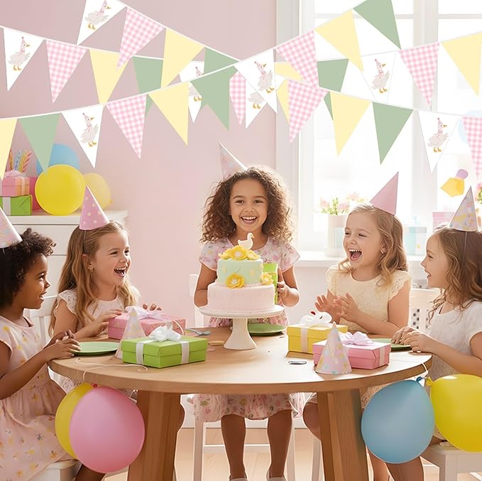 Pasimy 5 Pcs Silly Goose Birthday Party Decorations Pink Green Yellow Gingham Print Pennant Banners Funny Geese Triangle Bunting Banners for Farm Animal Baby Shower First Birthday Party Decoration