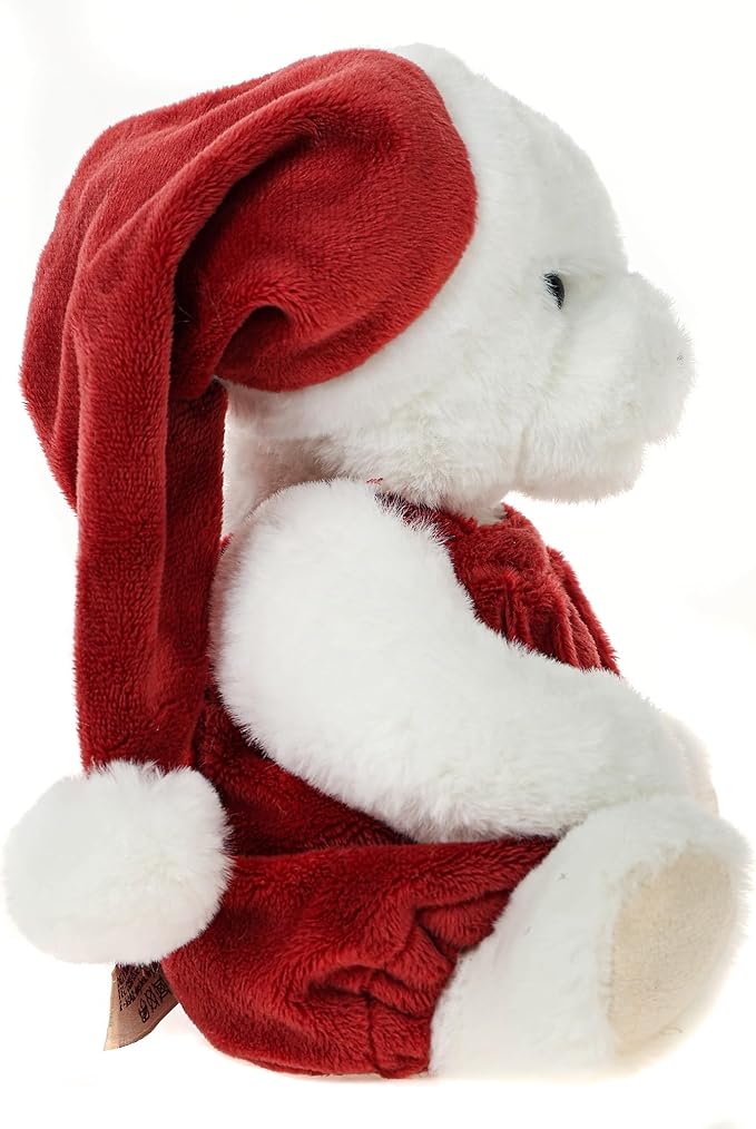 DILLY DUDU Teddy Bear Stuffed Animal Plush Toy Best Gifts (B) 10inch