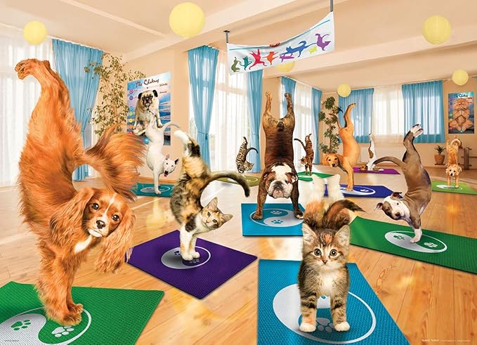 EuroGraphics Yoga Studio 300-Piece Puzzle