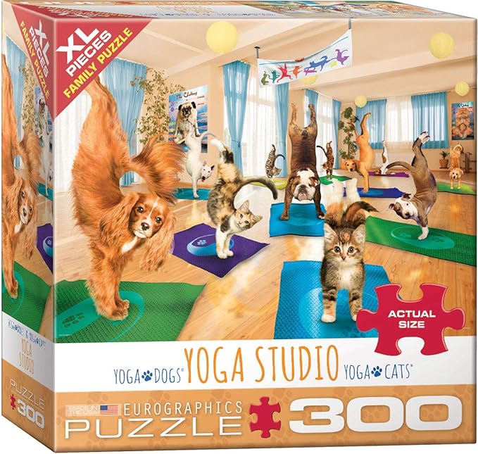 EuroGraphics Yoga Studio 300-Piece Puzzle