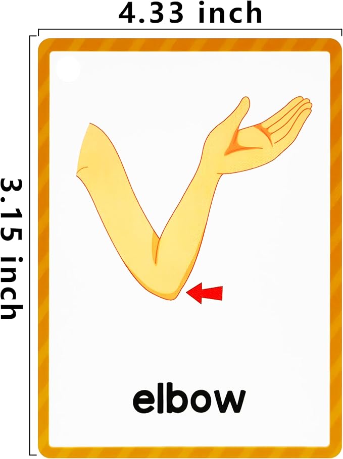 Learning Flashcards Body Parts, 28 Different Body Parts Educational Cards, Social Learning Card for Kids