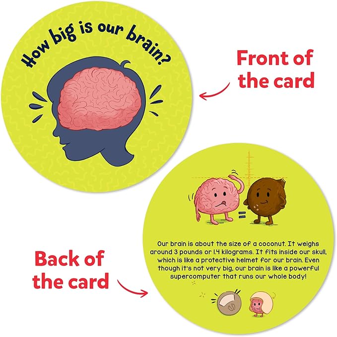 Skillmatics Flash Cards - Science Snippets The Human Body, STEM Learning Educational Toys & Learning Aids for Kids, Gifts for Boys & Girls Ages 7, 8, 9 & Up, Homeschool, Classroom & Travel Activity