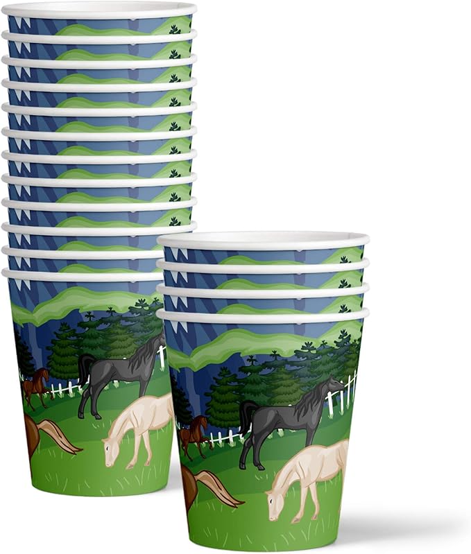 Wild Horses Birthday Party Supplies Set Plates Napkins Cups Tableware Kit for 16