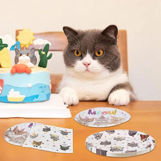 40PCS Cat Birthday Party Supplies Kitten Birthday Party Decorations Cat Plates and Napkins Party Supplies Disposable Plates for Cats Themed Parties Supplies, Serves 20