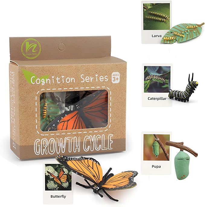 Montessori Life Cycle Learning - Montessori Life Cycle Animal Figures with Flash Cards, Plastic Insects Monarch Butterfly Kit Caterpillar Toy for Kids, Realistic Animal Figurines (Butterfly)