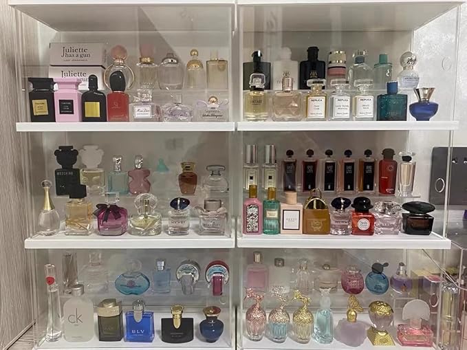 2 Tier Clear Acrylic Display Case Stand for Funko pop, 2 Layer Storage Cabinet Shelf Showcase Dustproof for Mini Toys Figures Stone Collectibles Assemble Organizer, White 9.8x4.5x5.9inch