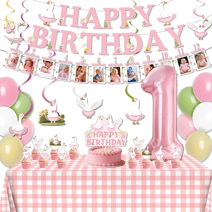 One Silly Goose Birthday Decor 1st Birthday Party Decoration Set For Girls And Boys Pink Bow Silly Goose Decorations With Balloons, Cupcake Toppers, Banner, Tablecloth, Hanging Swirls