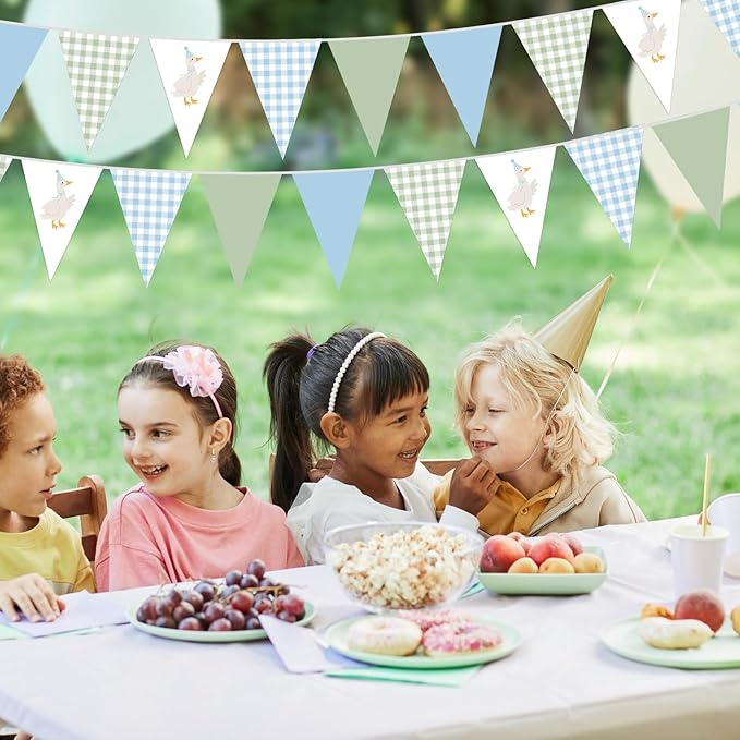 Pasimy 5 Pcs One Silly Goose Birthday Party Decorations Blue Green Gingham Print Pennant Banners Funny Geese Triangle Bunting Banners for Farm Animal Baby Shower First Birthday Party Decorations