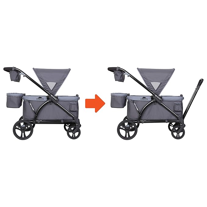 Baby Trend Expedition 2-in-1 Stroller Wagon Plus, Ultra Grey