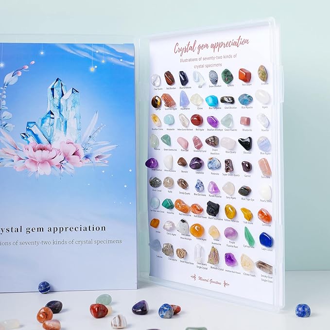 Runyangshi 72pcs Natural Rock and Geology Mineral Education Set for Studying Geology and Earth Science Ldentification Kit Learning Gifts with Instructions