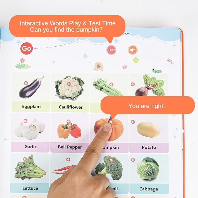 Learning Sound Books, First English Words Sound Book, 21 Themes 470+ Words Interactive Electric Learning Books for Toddlers 2-6 Year Olds, Audio Books for Kids, Gifts for Boys and Girls