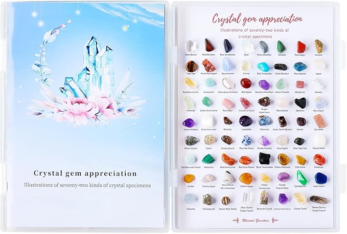 Runyangshi 72pcs Natural Rock and Geology Mineral Education Set for Studying Geology and Earth Science Ldentification Kit Learning Gifts with Instructions