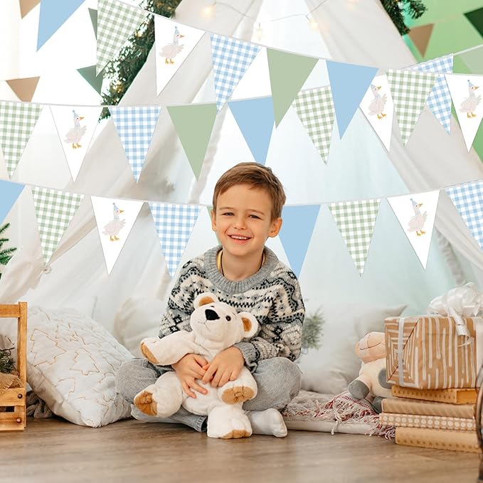 Pasimy 5 Pcs One Silly Goose Birthday Party Decorations Blue Green Gingham Print Pennant Banners Funny Geese Triangle Bunting Banners for Farm Animal Baby Shower First Birthday Party Decorations