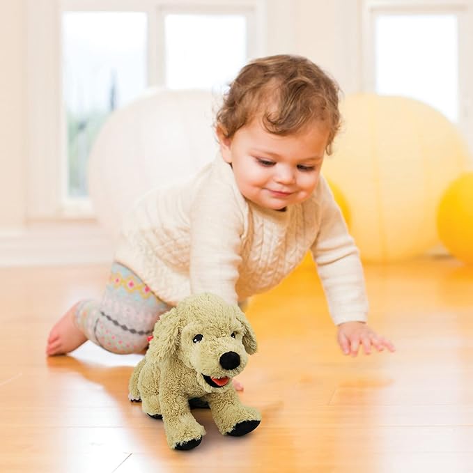 LotFancy Dog Stuffed Animals, 12 inch Cuddly Golden Retriever Stuffed Animals, Sitting Puppy Dog Plush Toy, Birthday Gift for Kids Boys Girls