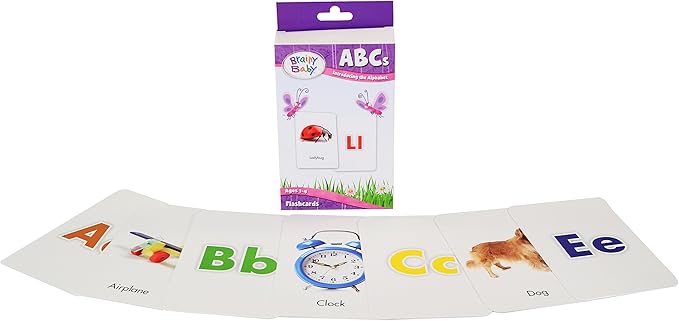 Brainy Baby Teach Your Child All In 1 Preschool Learning for a Lifetime System DVDs, Books, Flash Cards and CD Collection 9 Subjects