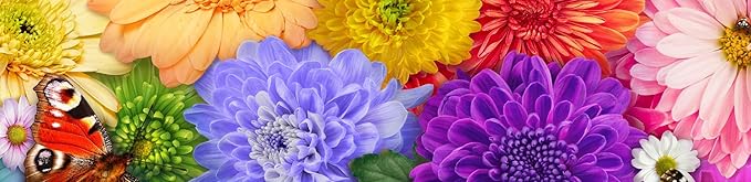 Ceaco Flower Spectrum 300 PC Puzzle