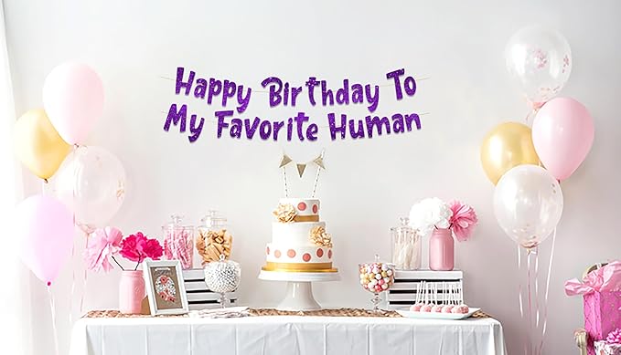Pre-Strung Happy Birthday To My Favorite Human - Funny Birthday Purple Glitter Banner - Funny Birthday Decorations for Men and Women - Party Supplies and Gifts
