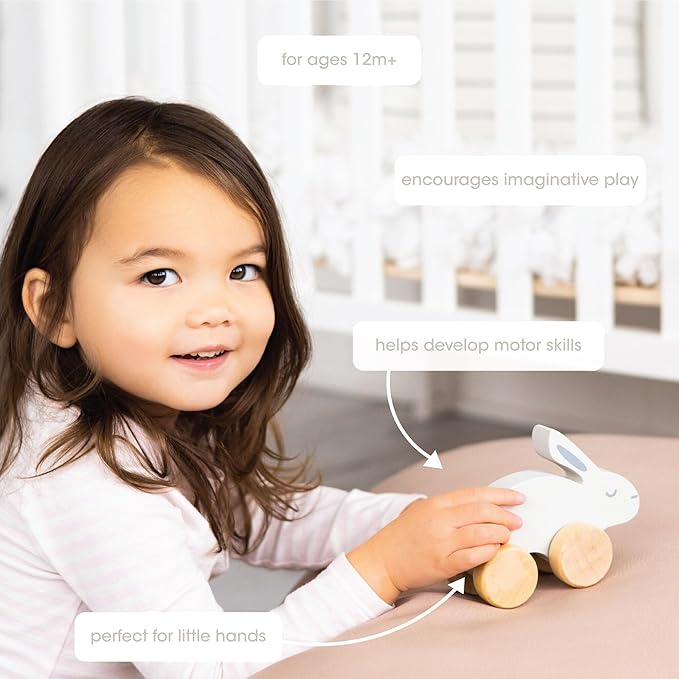 Pearhead Montessori Wooden Bunny Push-Pull Toy for Toddlers – Baby Easter Basket, Easter Bunny Gift for Toddlers, Gray Rolling Rabbit Encourages Motor Skills & Imaginative Play, 12M+