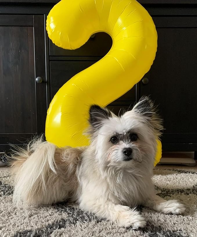 40 Inch Large Numbers Balloon, 4 Yellow Ballon for 4th 14 40 44 Birthday Party, Balloon 4 Number for Graduations Wedding Supplies