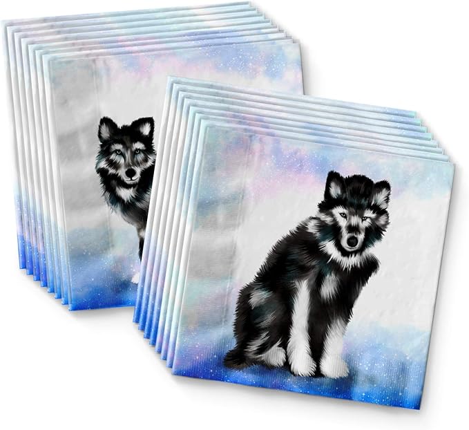 Wolf Birthday Party Supplies Set Plates Napkins Cups Tableware Kit for 16