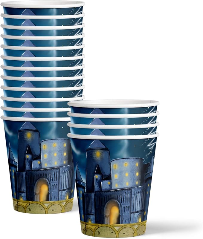 Wizard Castle Birthday Party Supplies Set Plates Napkins Cups Tableware Kit for 16