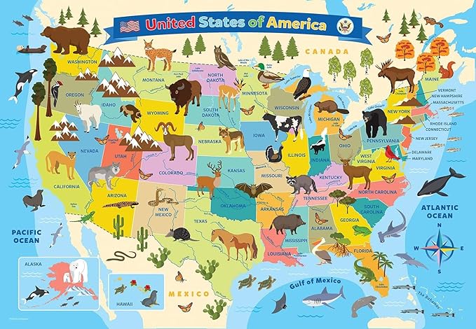 Illustrated Map of The United States of America