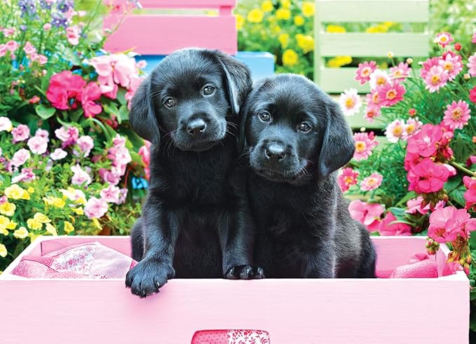 EuroGraphics Black Labs in Pink Box 500 Piece Puzzle