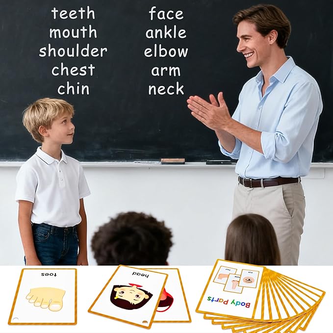 Learning Flashcards Body Parts, 28 Different Body Parts Educational Cards, Social Learning Card for Kids