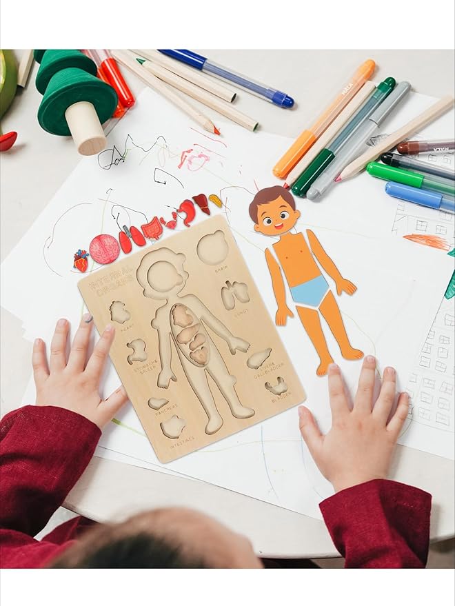 Montessori Jigsaw Puzzle of Human Structure Kids Human Learning Toy Anatomy Organ Model Anatomy Toy Children Human Organ Education Toys Human Organ Teaching Aids (Girl)