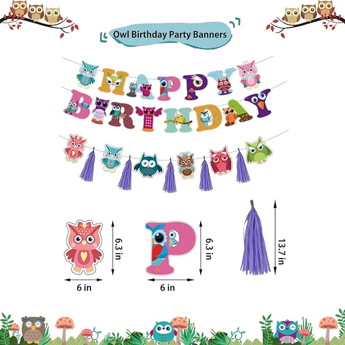 Owl Birthday Decorations - Cute Owl Theme Party Supplies with Birthday Banner, Colorful Tissue Paper Tassels Garland, Cake Toppers Set for Baby Shower, Kids Woodland Bday Party Decors
