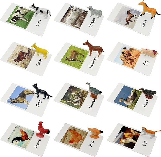 Montessori Animal Figures with Flash Cards, Realistic Animal Figurines Toys, Montessori Language Materials Preschool Learning Toy