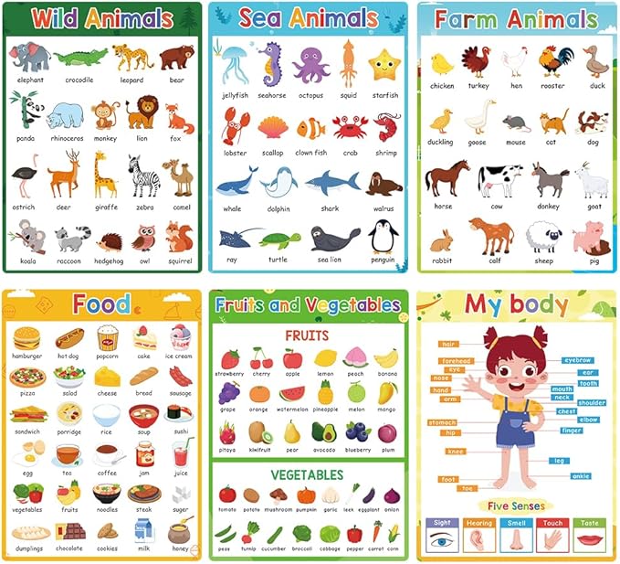 Lachilly Pre-Primer Fun Learning Poster Flash Cards - Perfect for Toddler Education, Pre-K and Kindergarten Learning Activities, Suitable for Autistic Children and Primary School Kids, 10 Sheets