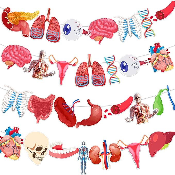 4 Strings 28 Pcs Anatomy Themed Hanging Banner, Human Body Parts Educational Cutouts Garland for Classroom Decorations, Science Party Supplies, School Learning Tools, and Medical Office Decor