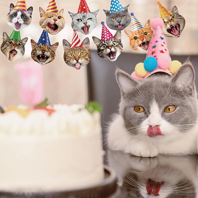 Hooqict Cat Birthday Banner Birthday Party Decorations for Backdrop Cat Happy Birthday Banner Garland Sign for Girls Boys Kids 1st 2nd 3rd Party Supplies Hanging Decor