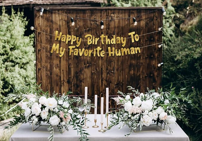 Pre-Strung Happy Birthday To My Favorite Human - Funny Birthday Gold Glitter Banner - Funny Birthday Decorations for Men and Women - Party Supplies and Gifts