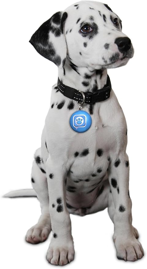 Mattel Puppy Tweets Blue