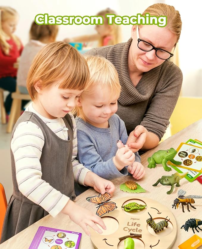 JoyCat Life Cycle Learning Education Toys, Insect Caterpillar to Butterfly kit, Ladybug, Bee, Tadpole to Frog Kit Life Cycle Toys for Kids, Preschool Learning Activities for Age 3 4 5 6 7 8