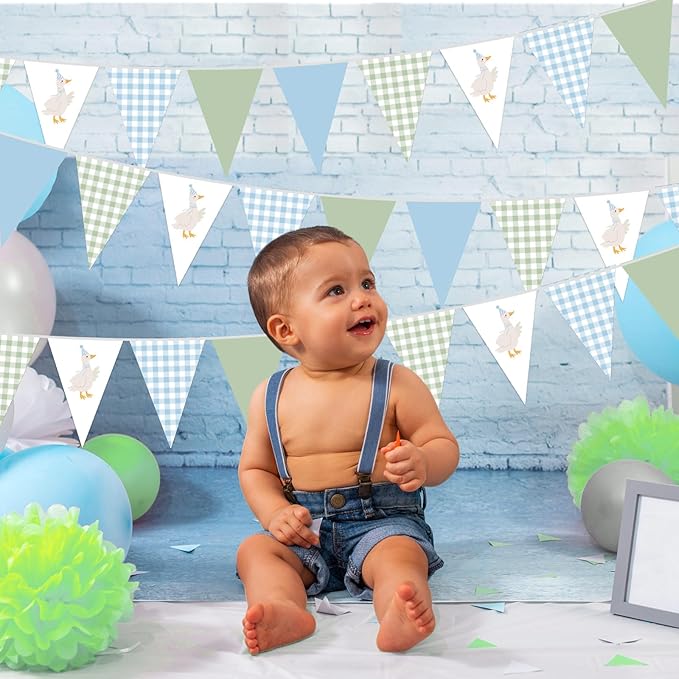 Pasimy 5 Pcs One Silly Goose Birthday Party Decorations Blue Green Gingham Print Pennant Banners Funny Geese Triangle Bunting Banners for Farm Animal Baby Shower First Birthday Party Decorations