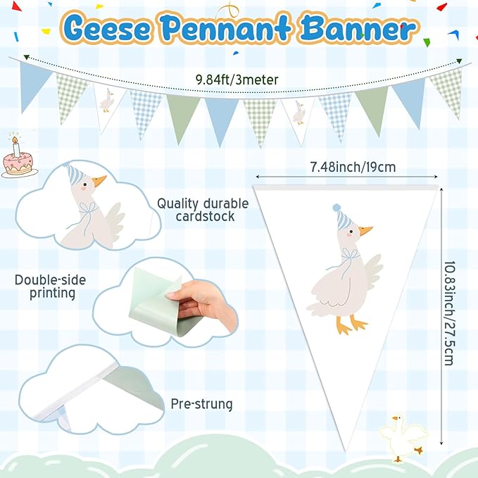 Pasimy 5 Pcs One Silly Goose Birthday Party Decorations Blue Green Gingham Print Pennant Banners Funny Geese Triangle Bunting Banners for Farm Animal Baby Shower First Birthday Party Decorations